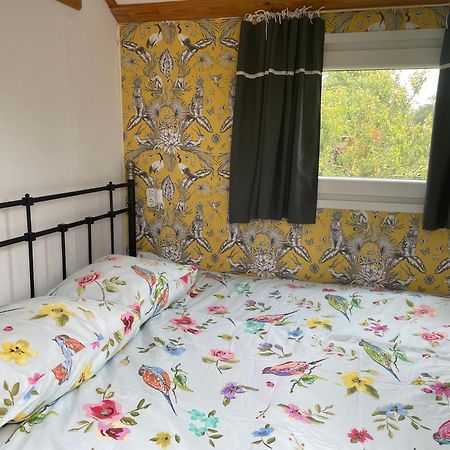 Kesteren Pipowagen Mamaloe Bed & Breakfast エクステリア 写真